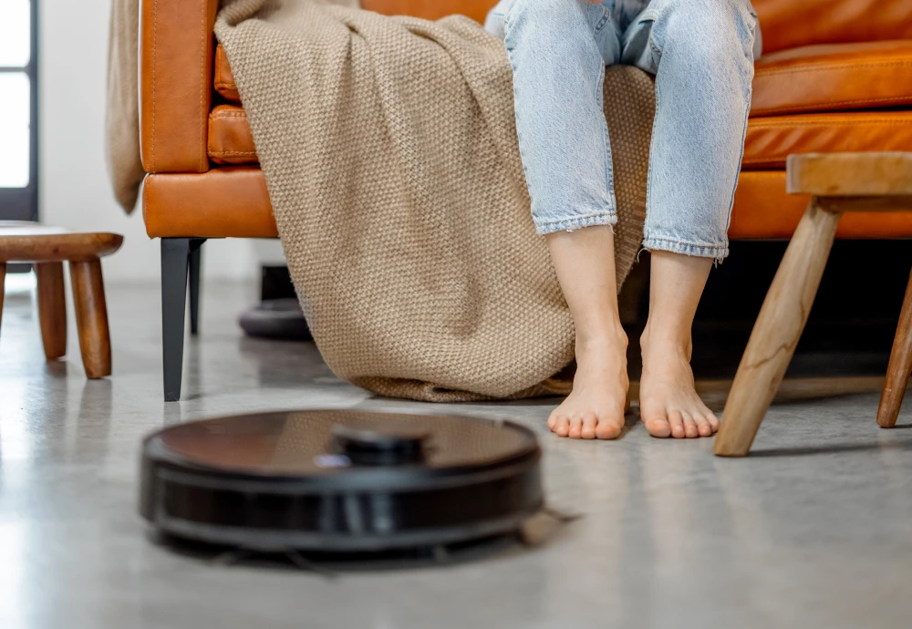 robot vacuum cleaner and mop